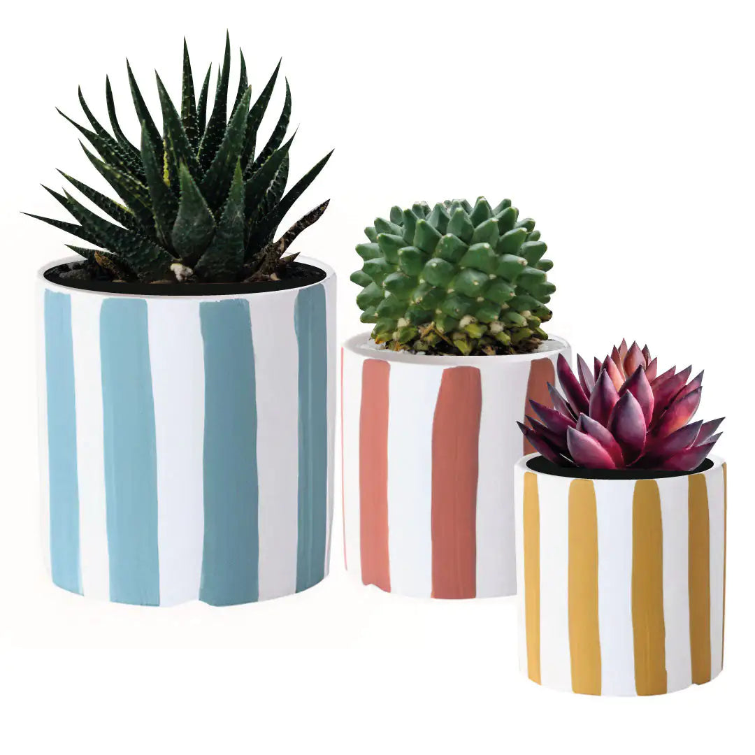 Artistic Trio Ceramic Planters